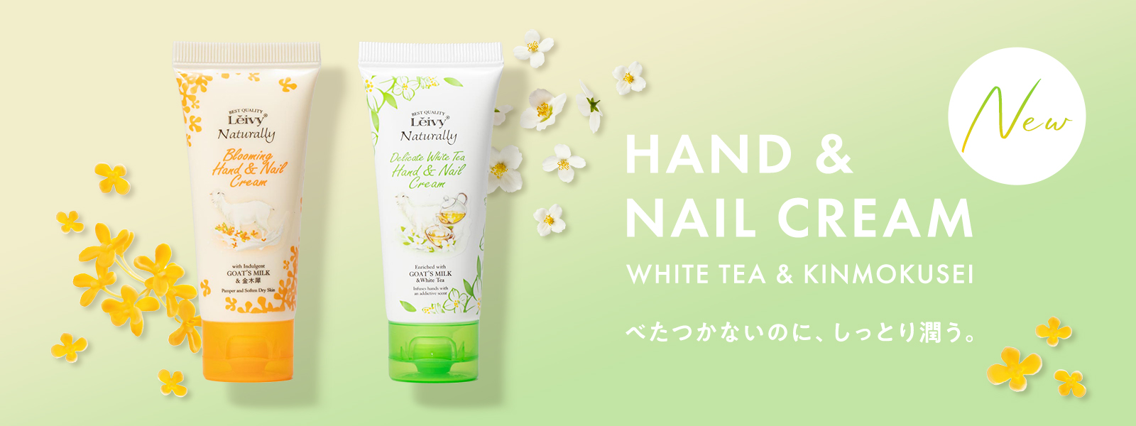 HAND & NAIL CREAM